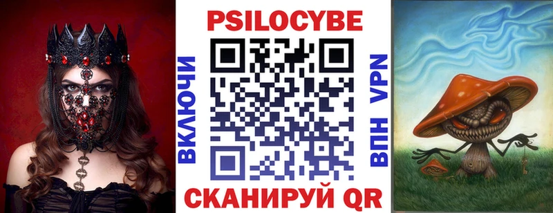 Галлюциногенные грибы Psilocybine cubensis  Купить  Грязи 